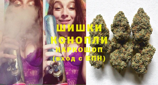прущий лед Щигры