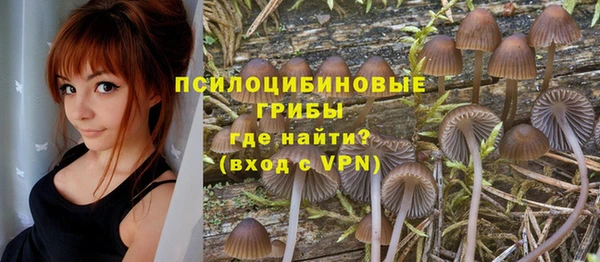 соль ск Пролетарск