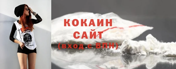 прущий лед Щигры