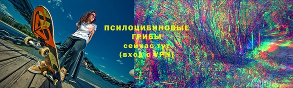 apvp Рославль
