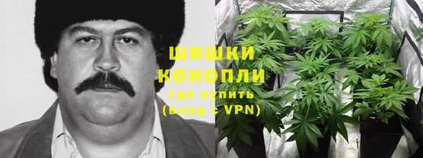 прущий лед Щигры