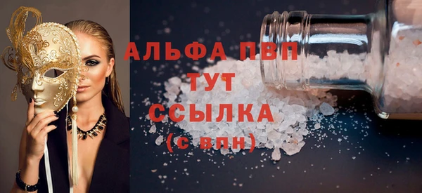 индика Щёлкино