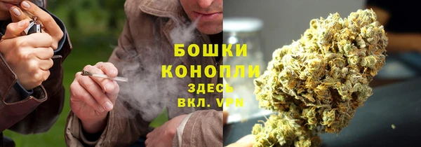 прущий лед Щигры