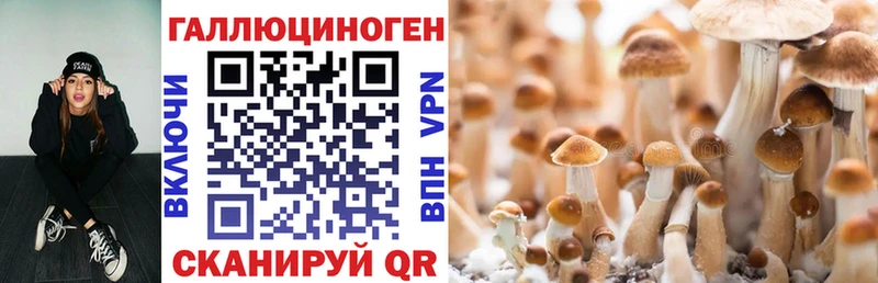 сколько стоит  OMG маркетплейс  Псилоцибиновые грибы мухоморы  Вольск 