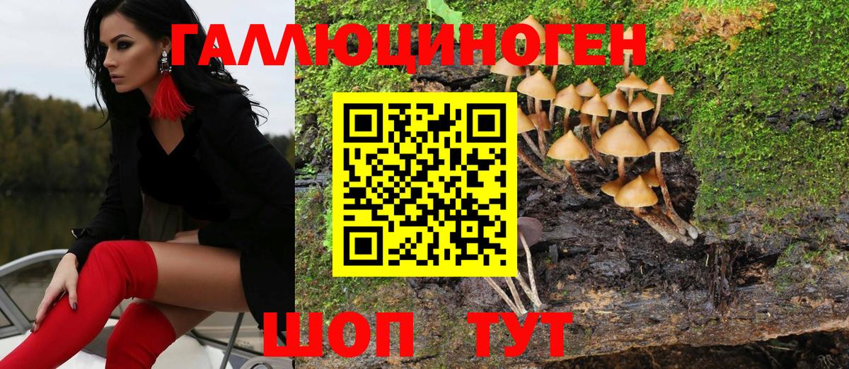 Вольск  Псилоцибиновые грибы MAGIC MUSHROOMS  Вход с VPN 