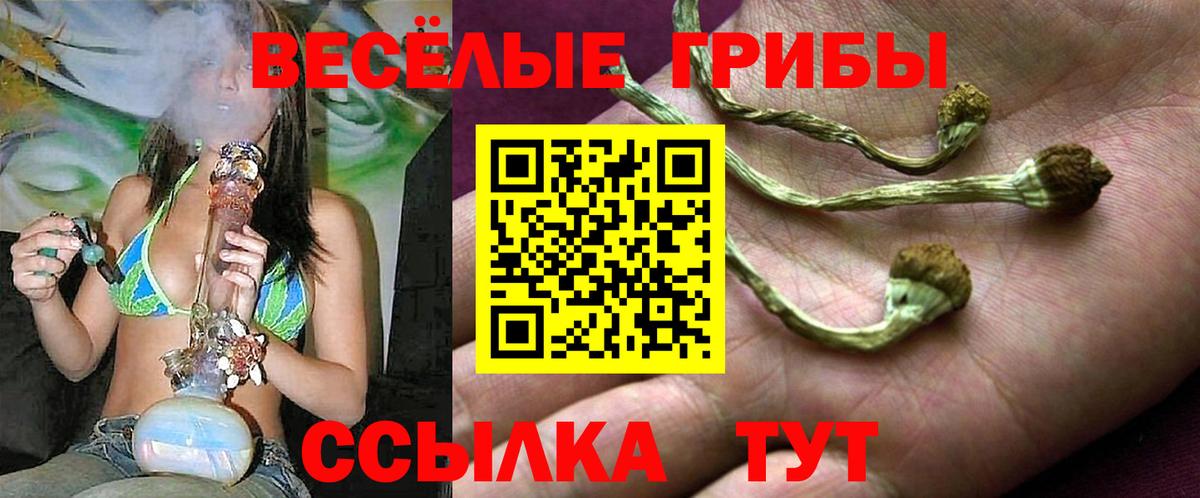 магазин    Вольск  Псилоцибиновые грибы Psilocybe  Псилоцибиновые грибы ЛСД 