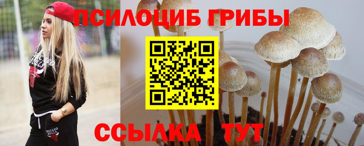 Галлюциногенные грибы MAGIC MUSHROOMS Вольск