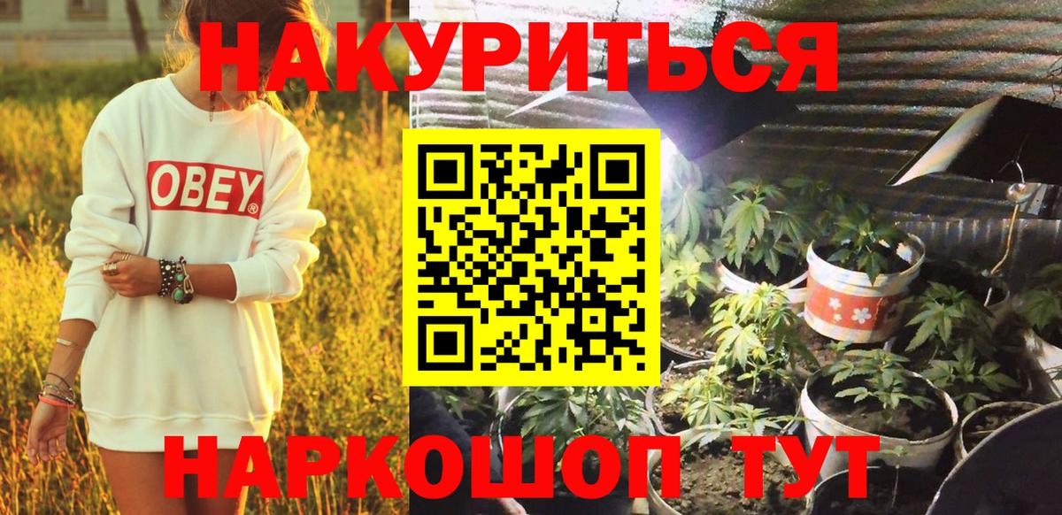 Бошки Шишки план  Канабис White Widow  Бошки марихуана марихуана  Шишки марихуана AK-47  Вольск  Вход с VPN 